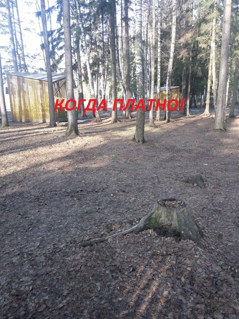 КОГДА ПЛАТНО!