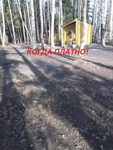 КОГДА ПЛАТНО!